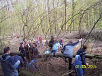 maif0603.jpg (131979 Byte)