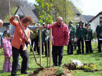 tdbaum05_05.jpg (105514 Byte)