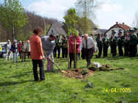 tdbaum05_06.jpg (104557 Byte)
