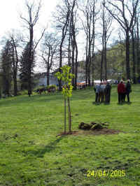 tdbaum05_08.jpg (114313 Byte)
